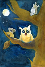 uil in de nacht