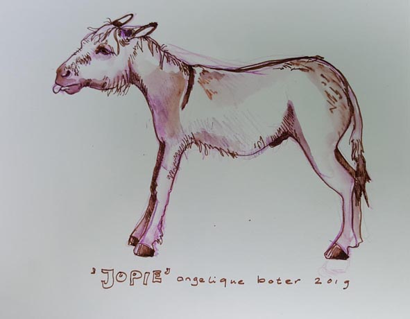 Jopie
